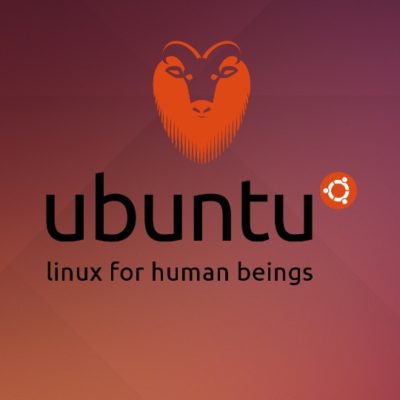 Install OpenVPN client on Ubuntu 14.04